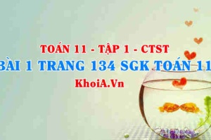 Bài 1 trang 134 SGK Toán 11 Tập 1 Chân trời sáng tạo
